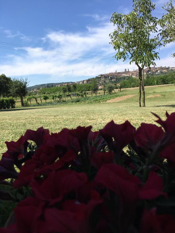 La Macine Hotell Monte San Savino Eksteriør bilde